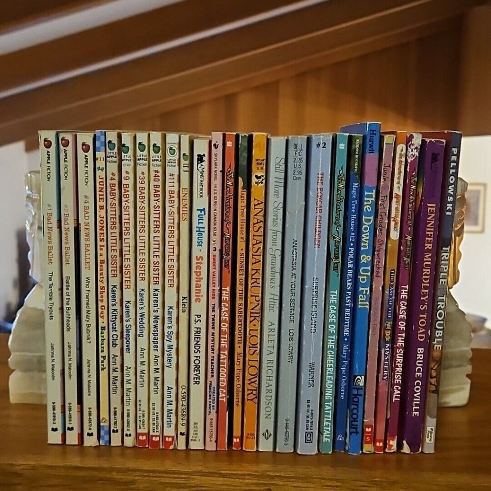 Chapter Book Lot Instant Library Girls Interest Babysitters Mary Kate Homeschool